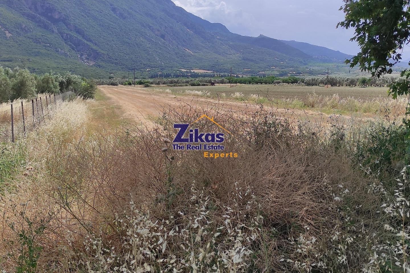 property-img