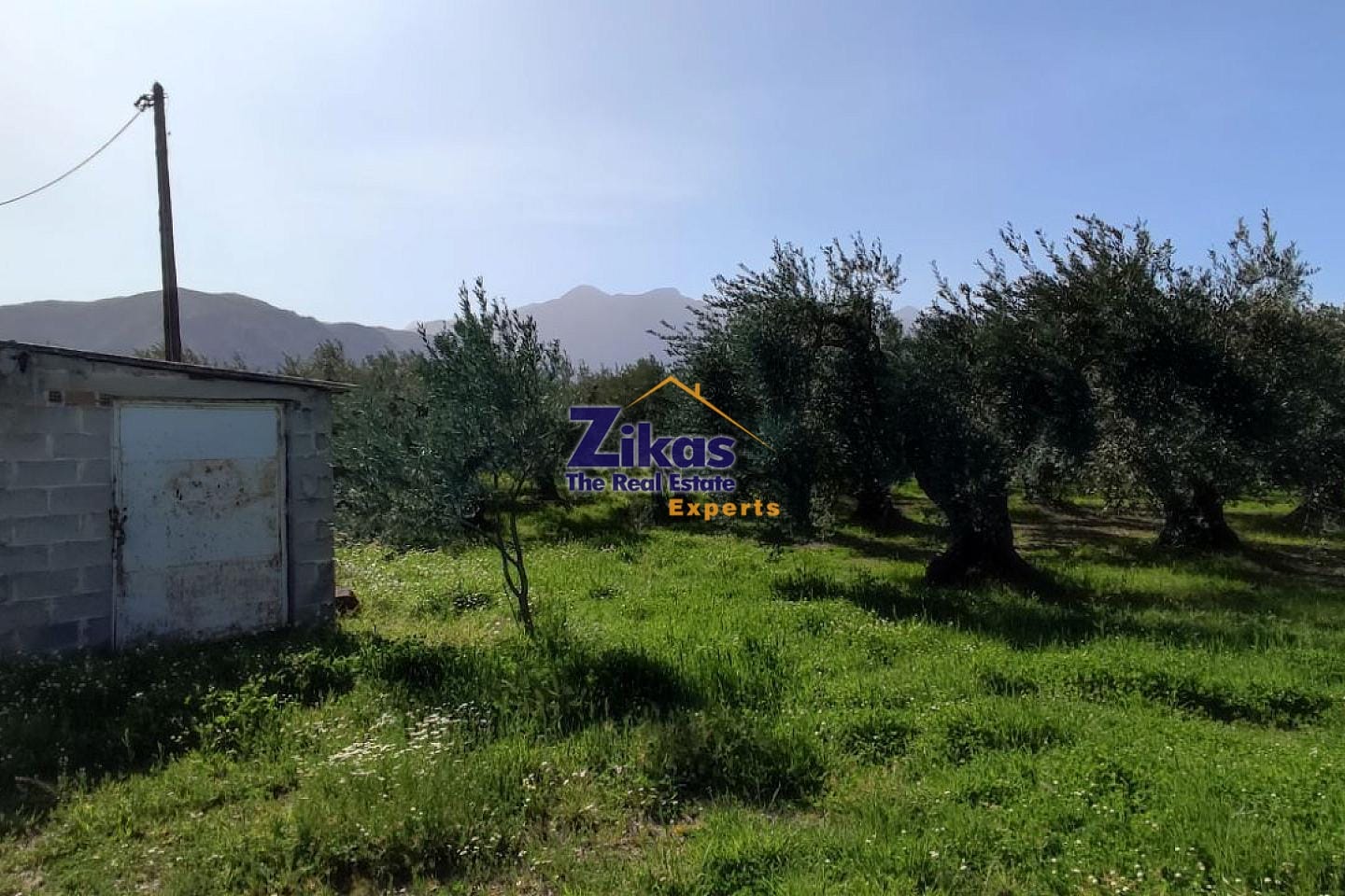 property-img
