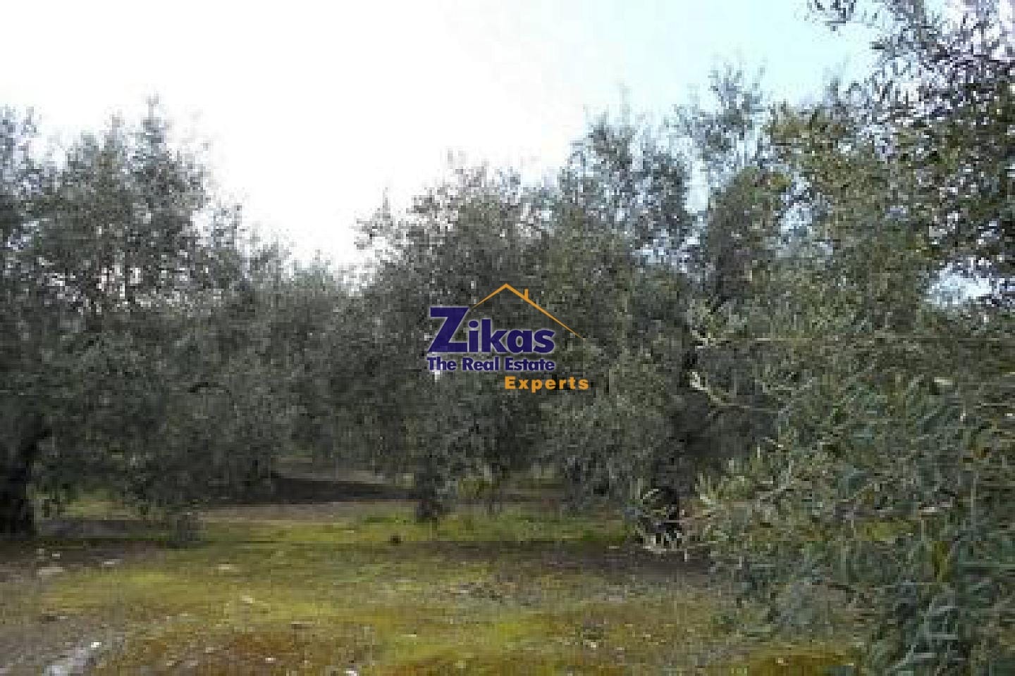 property-img