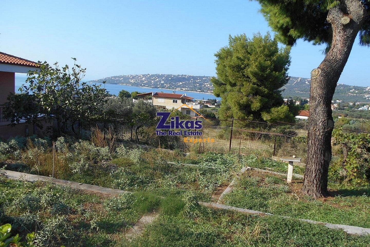 property-img
